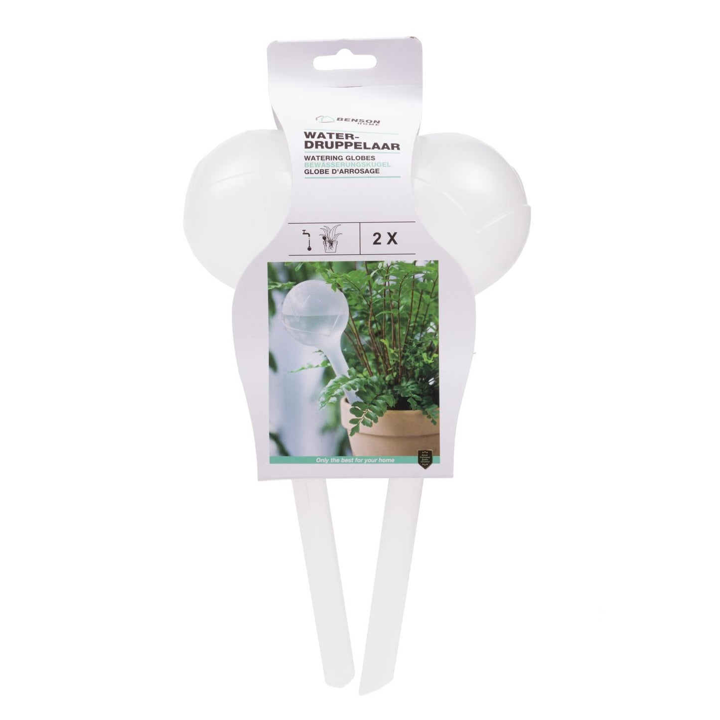 Verpackung mit zwei durchsichtigen Bewässerungskugeln der Marke Benson Home, abgebildet mit Anwendung in einem Blumentopf.