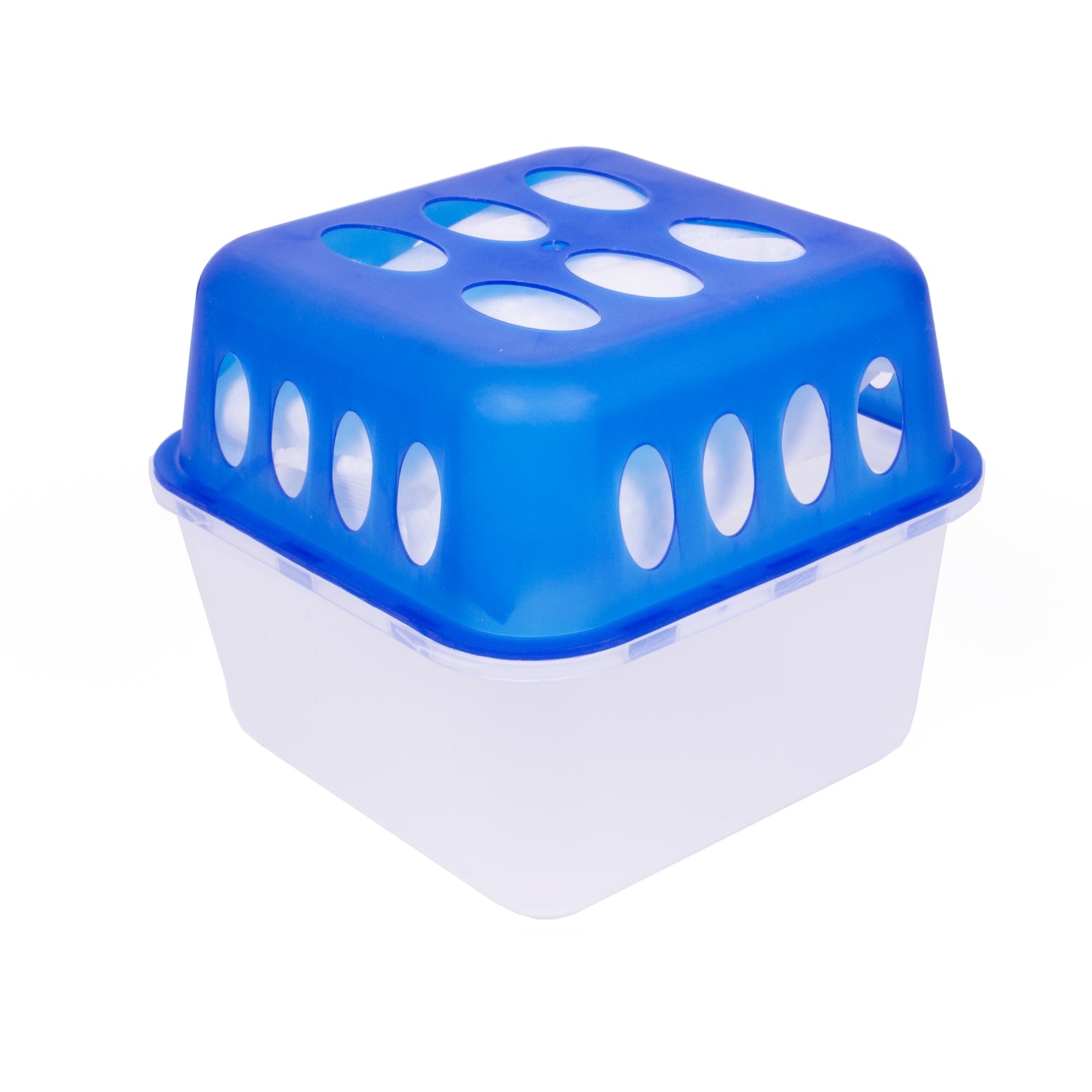 Weiße Raumentfeuchter-Box mit blauem, gelochtem Deckel in Nahaufnahme, freigestellt auf weißem Hintergrund.